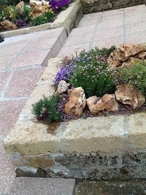 Fiorerie Andrini - Immagine 2