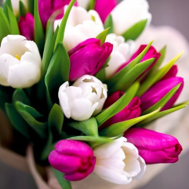 Fiori e Piante Anna e Monica - Immagine 1