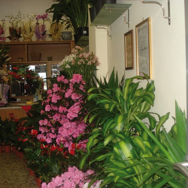 Fiori Salemi Gaetano - Servizio Interflora - Immagine 2