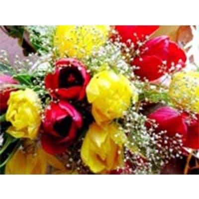 Fiorista Cassiani Donatella - Immagine 1