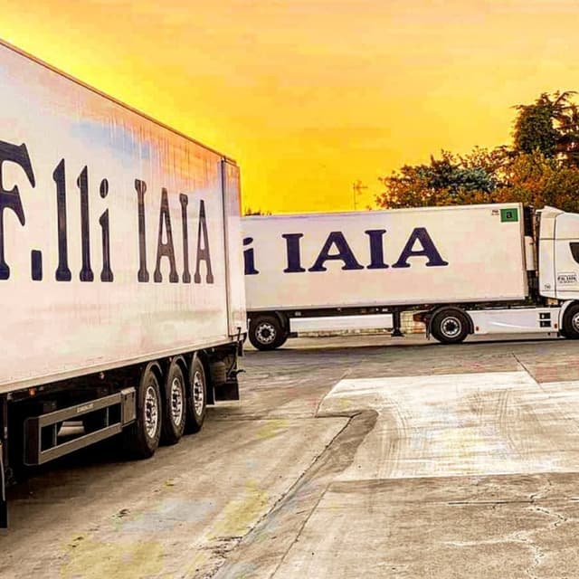 F.lli Iaia Trasporti & Logistica - Immagine 2