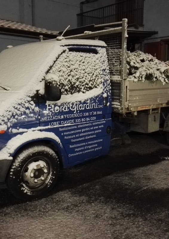 Flora Giardini - Immagine 2