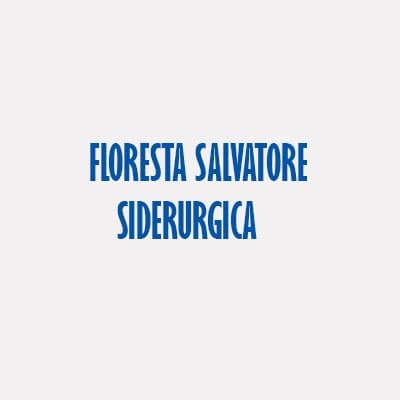 Floresta Salvatore Siderurgica - Immagine 1