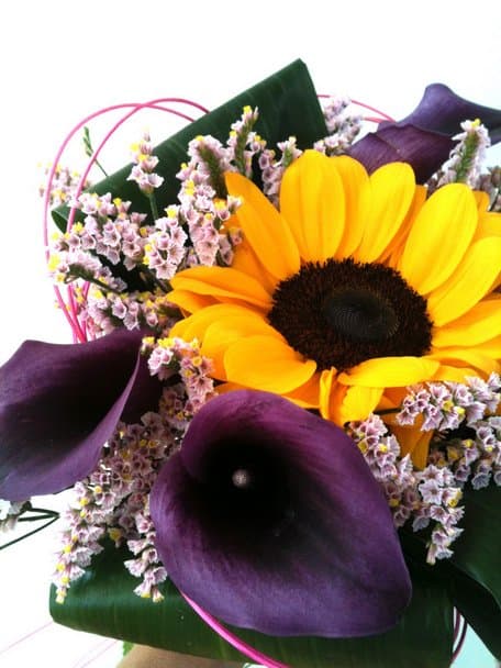 Floricoltura Mazzocchi - Immagine 1