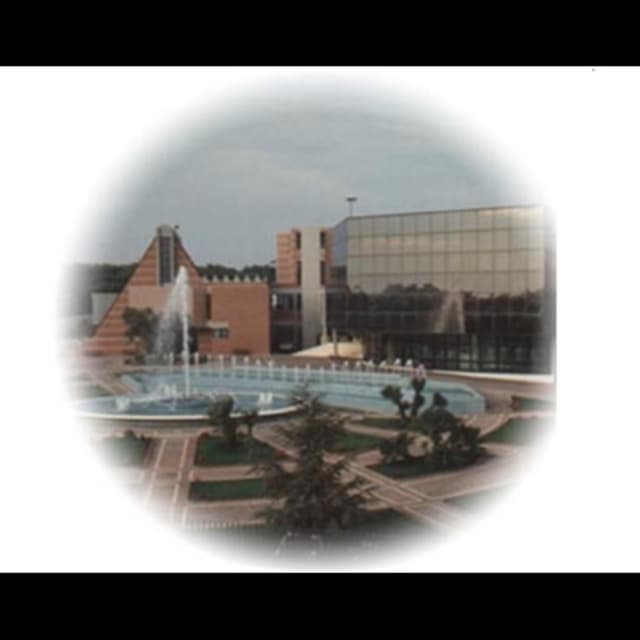 Fondazione Edoardo Filograna - Immagine 2