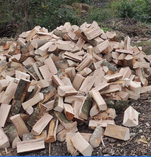 Forest Service - Immagine 1