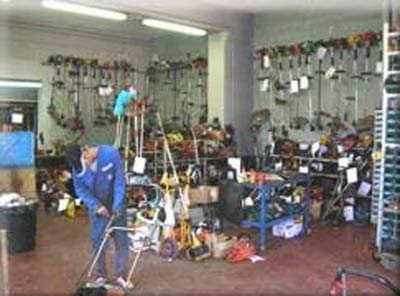 Forestal Garden - Immagine 2