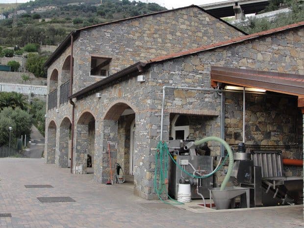 Frantoio Boeri - Immagine 1