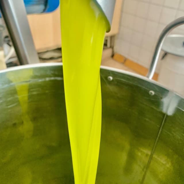 Frantoio Oleario Giulia Vuoto - Immagine 2