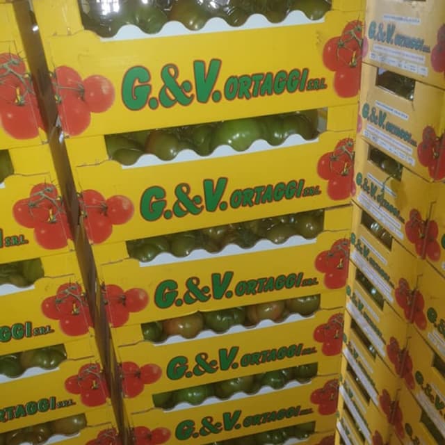 G. & V. ORTAGGI - Immagine 2