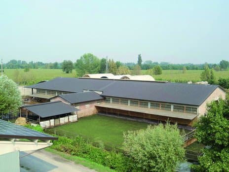 Gandellini Beniamino - Immagine 2