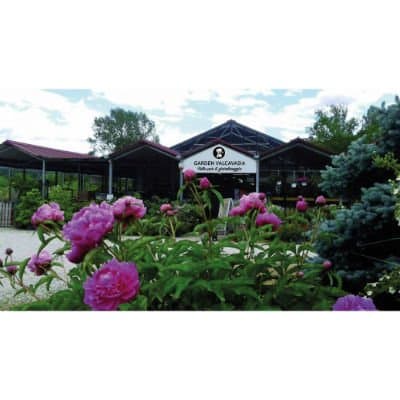 Garden Valcavasia - Tutto per Il Giardino - Immagine 1