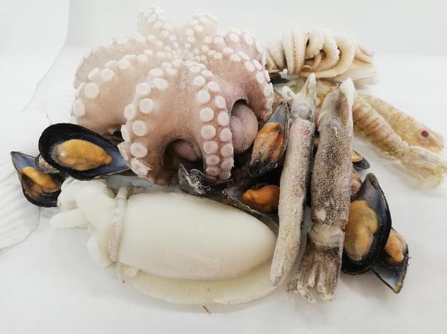 Gelocentro - Immagine 1