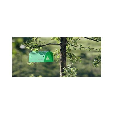 Geocentro - Immagine 2