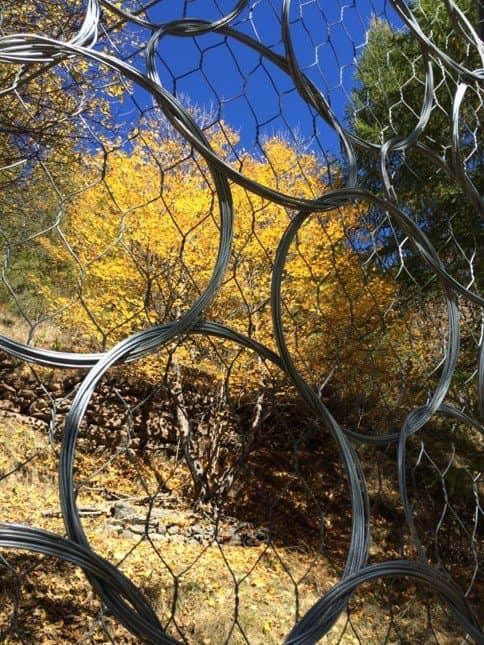 Geosistemi S.r.l. - Immagine 2