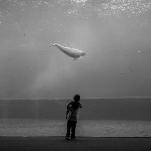 Giacomo De Caro Fotografo - Immagine 1