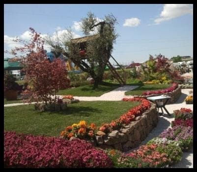 Giardinaggio Schibuola Renzo - Immagine 2