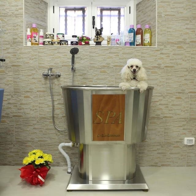 Gli Aristocuccioli - Immagine 2