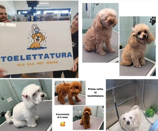 Glu Glu Pet House - Immagine 1