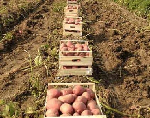 Gm Sottotetti - Immagine 1