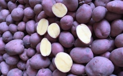 Gm Sottotetti - Immagine 2