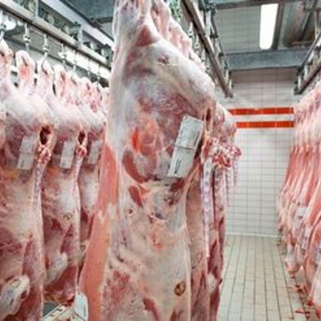 Golden Meat - Immagine 1