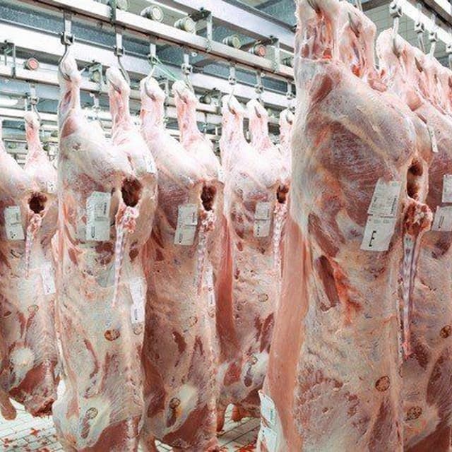 Golden Meat - Immagine 2