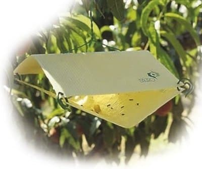 Gowan Italia - Immagine 2