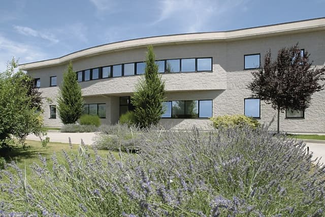 Grafiche Ricciarelli - Immagine 1