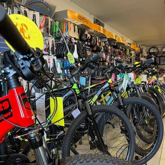 Green Polo - Immagine 1