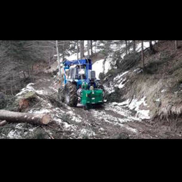 Greifenberg Teleferiche Sas - Immagine 1