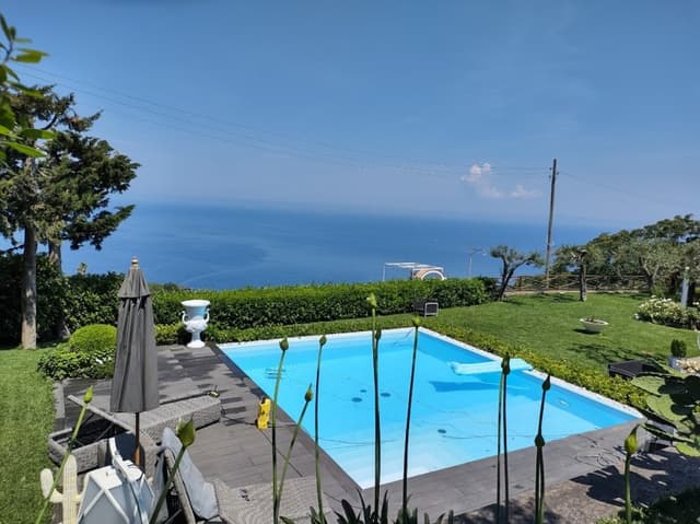 Hakuna Matata Pools - Immagine 1