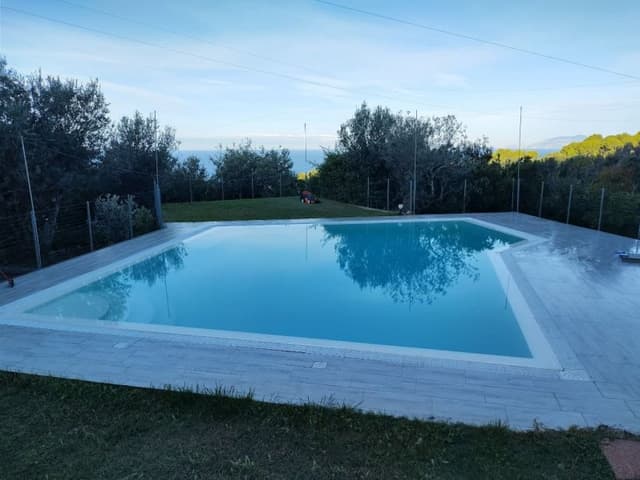 Hakuna Matata Pools - Immagine 2