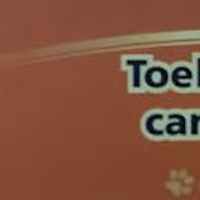 Happy Dog Davide Gulisano - Immagine 1