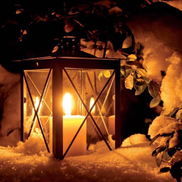 Hotel Ristorante La Lanterna nel Bosco - Immagine 1