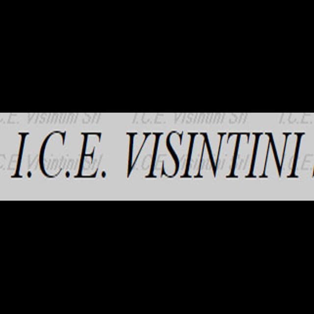 I.C.E. Visintini - Immagine 2
