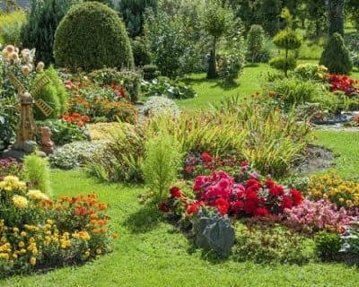 Idealverde - Immagine 1