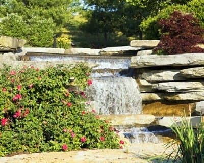 Idealverde - Immagine 2