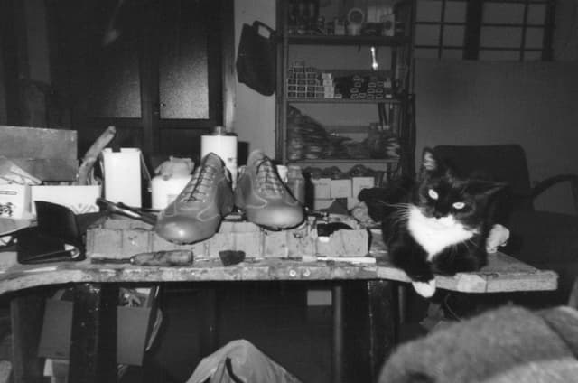 Il Calzolaio di Nocetolo - Immagine 1