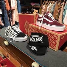 Il Camomillo - Immagine 1