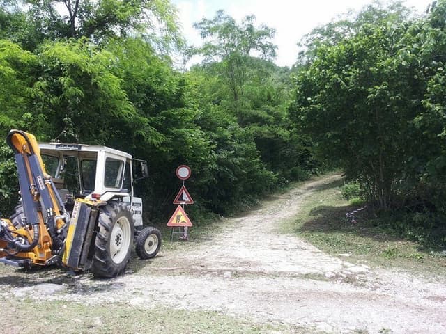 Il Dottore del Verde - Immagine 1