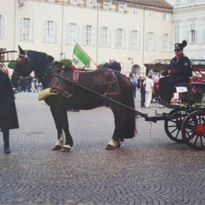 Il Grande Ranch - Immagine 2