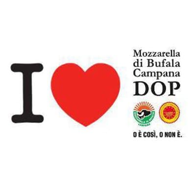 Il Gusto Gira - Immagine 2