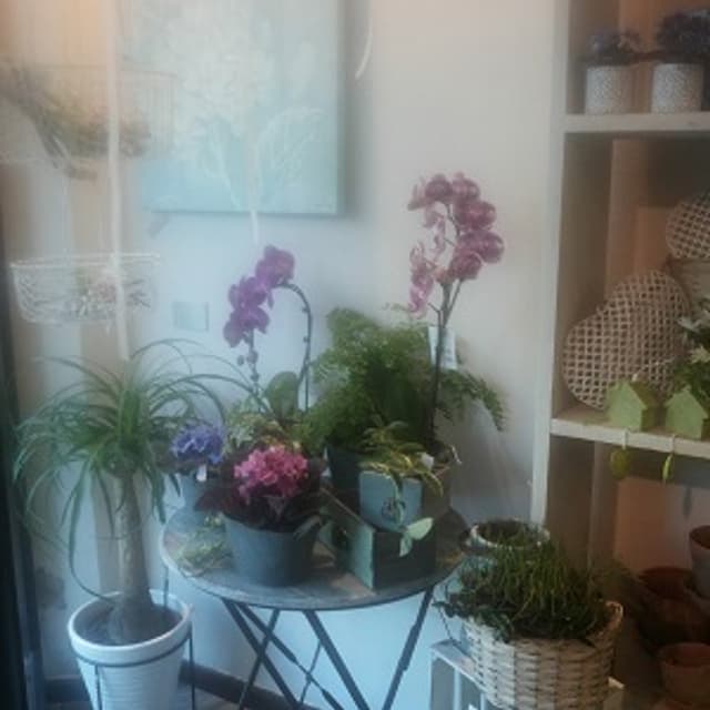 Il Petalo Fiorista - Immagine 2