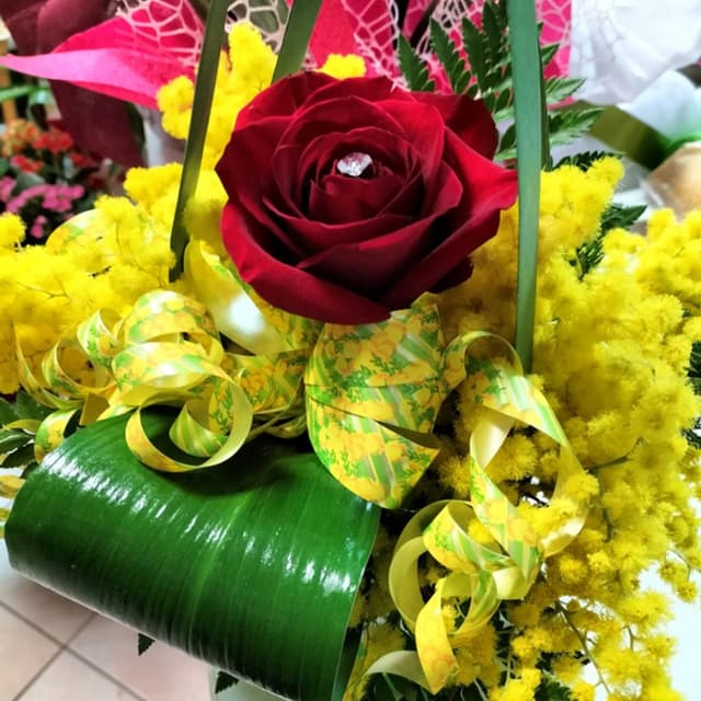 Il Punto Naturale - Immagine 2