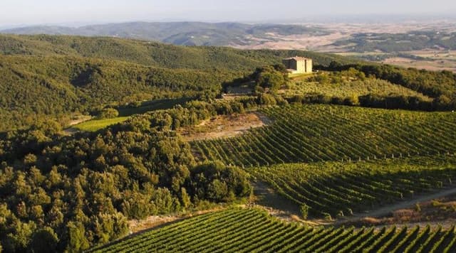 Impresa Edile Martelli - Immagine 1