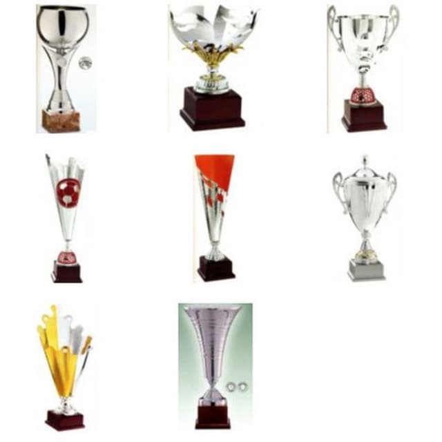 Introini & Pavan Premiazioni Sportive - Immagine 2