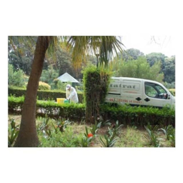 Italrat - Immagine 1