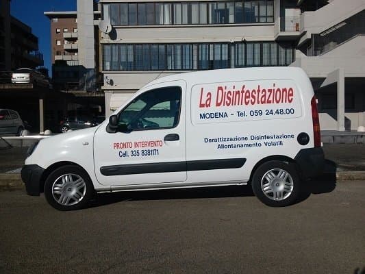 La Disinfestazione - Pronto Intervento - Immagine 1