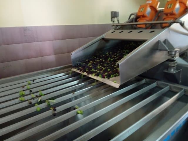 La Goccia D'Oro di Caprio - Immagine 1